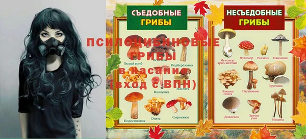 ECSTASY Мегион