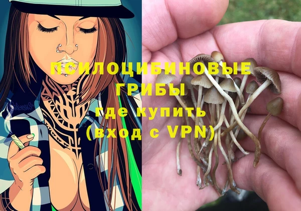 mdma Медвежьегорск