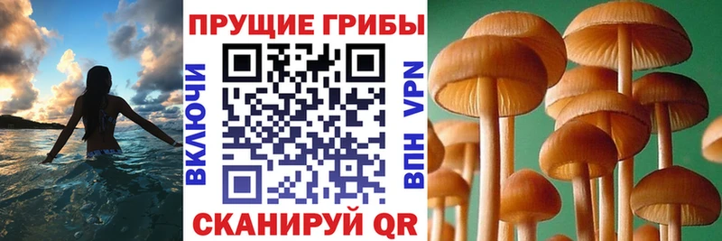 Псилоцибиновые грибы ЛСД  Грайворон 