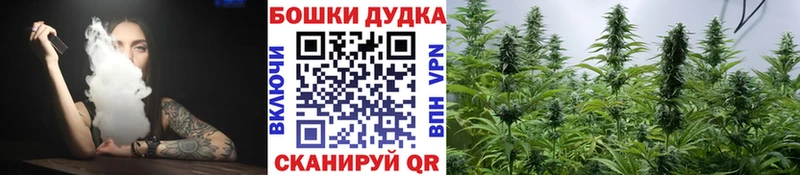 Бошки Шишки сатива  Грайворон 